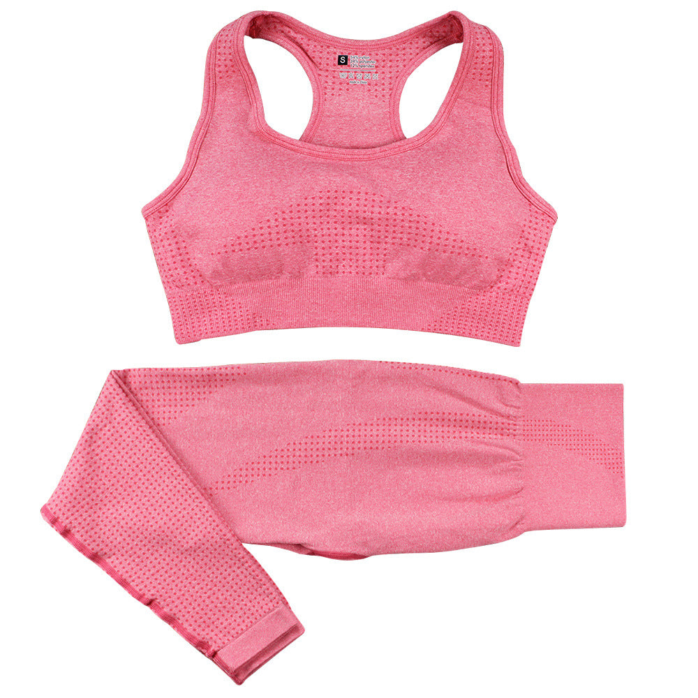 Seamless High Waist Yoga Set