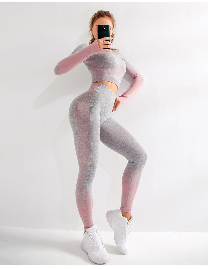 Seamless 2 Piece Yoga Fitness Set