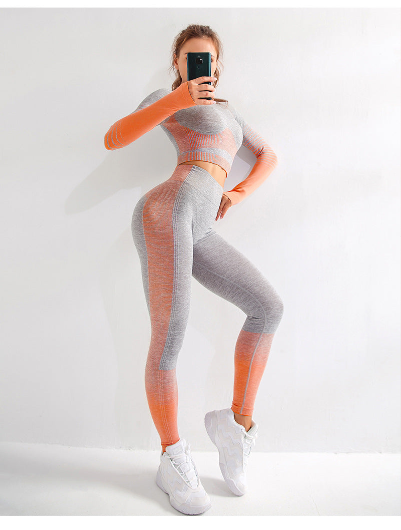 Seamless 2 Piece Yoga Fitness Set