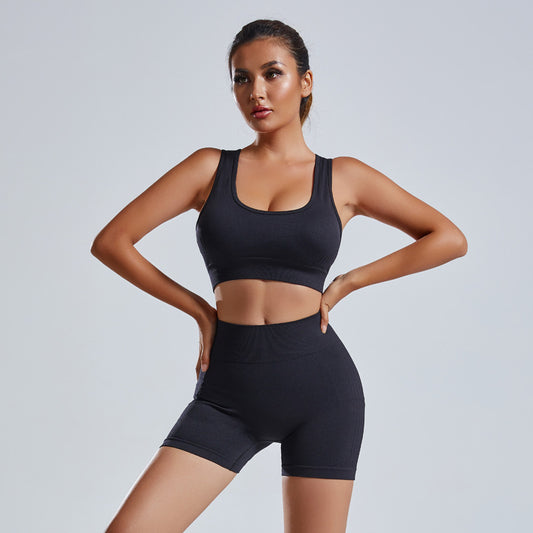 Seamless High Waist Workout Set